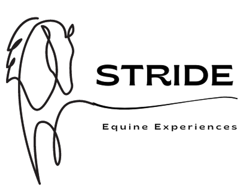 STRIDE Equine Experiences