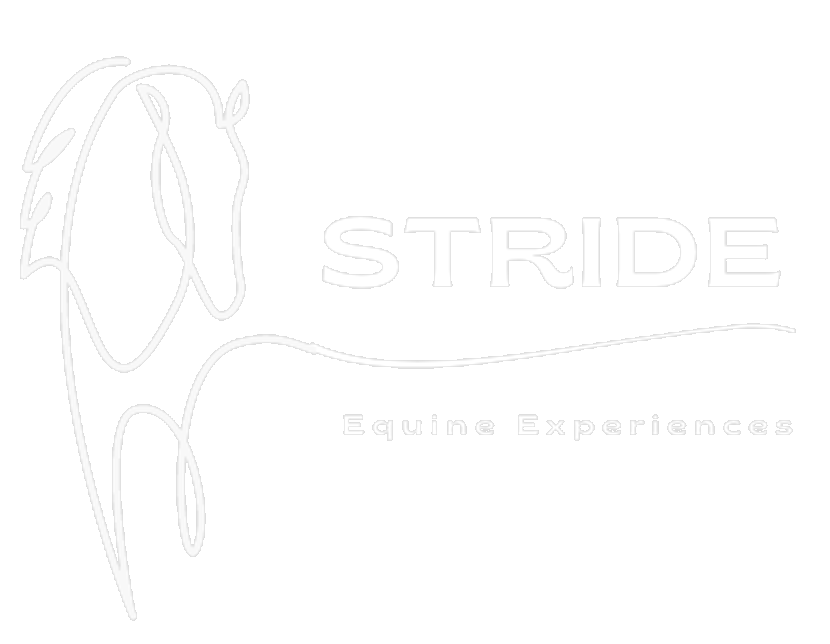 STRIDE Equine Experiences